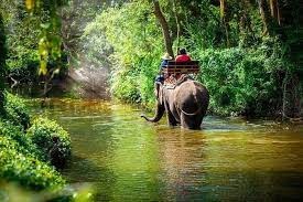 safaris de Chiang Mai